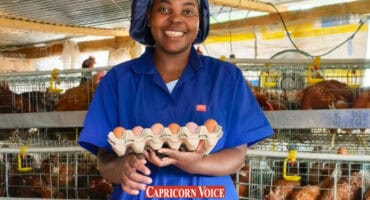 Mukhethwa Muhali holds a tray of eggs. Her chickens are visible in the background