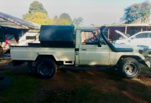 Side profile of a vintage-style, light-colored 4x4 pickup truck with a snorkel, off-road tires, and a black canopy over the load bin.