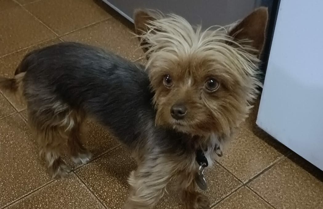 R5 000 if you bring Zellie Home