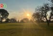 grass fairway, bordered by trees, a blue sky and a shining sun