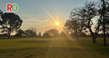 grass fairway, bordered by trees, a blue sky and a shining sun