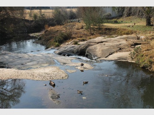 Ward 117 councillor Tim Truluck says the footbridge was put up after an elderly woman slipped and fell into the stream.