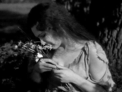 gif03