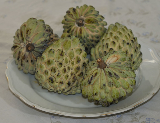 AAAMYfruit0208 - photo2