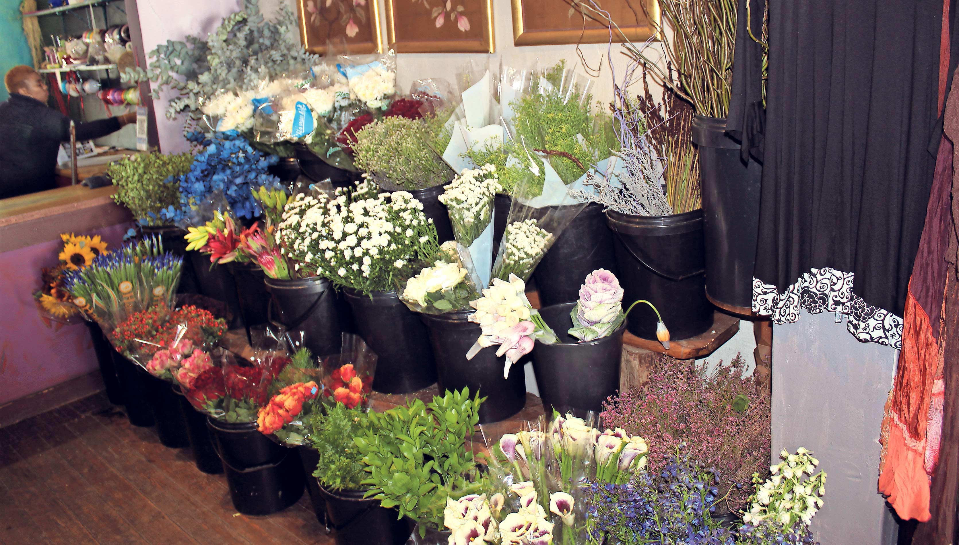 IMG_2917_42527_Claro1