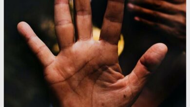 file-20181122-18207_14638