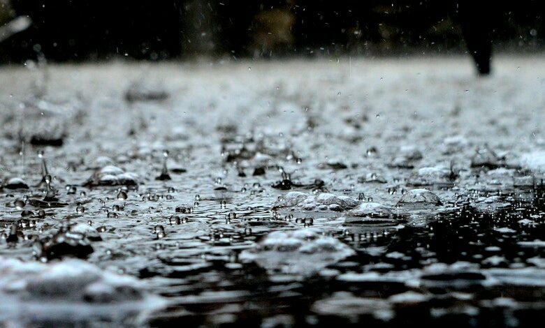 rain water