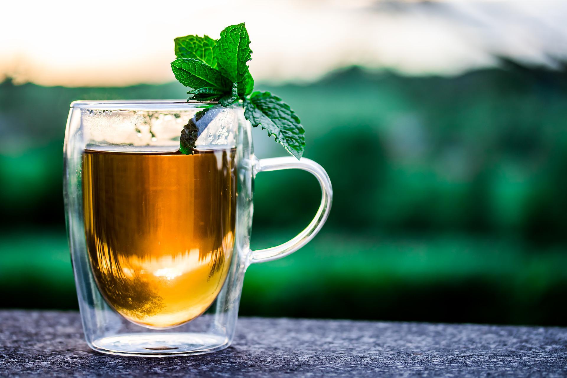 ElanaWagner-08-07-2022-Health-HerbalTea.2