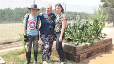 P3DanielandNicoleMa_11615