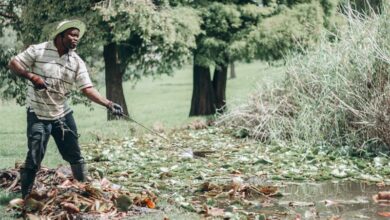 Mike Chipelesa clears a pond of water