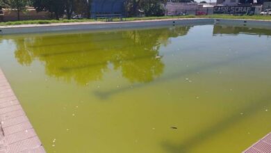 The shocking state of the Albertskroon municipal swimming pool.