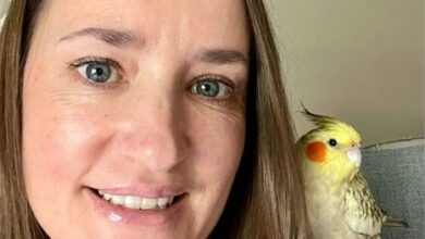Leigh-Ann Maher and her beloved little companion Tilly