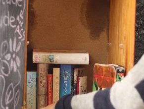 Jessica Lambert checks on the books the library has.