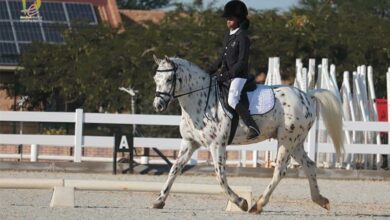 Sive Singonzo at the 2023 South African Equestrian Schools Association Qualifier