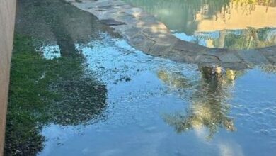 Effluent flows rampant into a swimming pool.