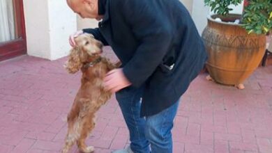Bella and Derek Bielher meet for the first time after months.