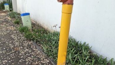 Newer fire hydrants are above ground and painted yellow and red. Photo: Emily Wellman Bain.