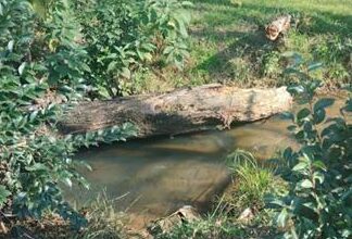 The polluted spruit in Emma Park.