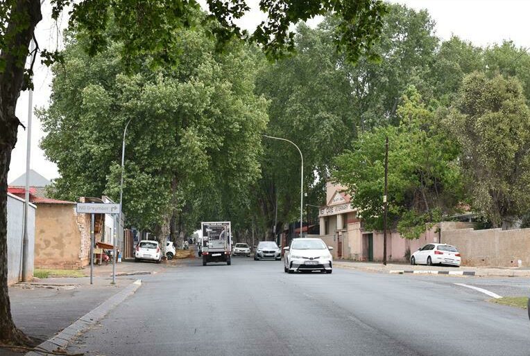 Portions of Long Road are lined with trees showing off their new spring leaves. Photo: Emily Wellman Bain