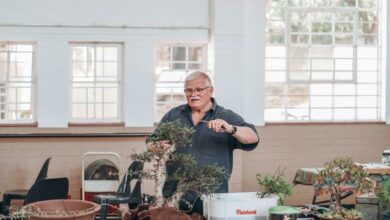 Erich Walter hosts a workshop on things to do during spring for your bonsai. Photo: Neo Phashe