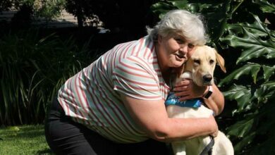Joe Kiggell hopes that Lyra will one day give a person with a disability all the assistance they need. Photo: Nicholas Zaal
