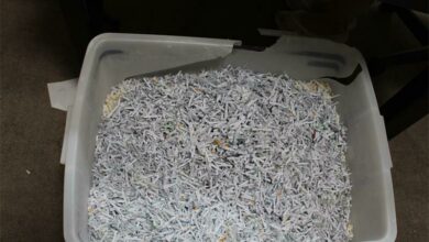 Shredded paper. Photo: Asanda Matlhare