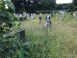 Graves in Westpark Cemetery are difficult to access by family members due to unkempt grounds. Photo: Emily Wellman Bain