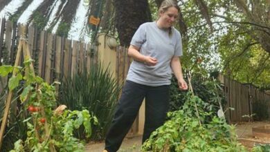 JoburgCAN manager Julia Fish tends her sustainable pavement community vegetable garden in Melville.