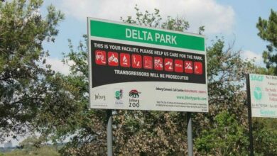 A man and his dog were shot in Delta Park on February 24.