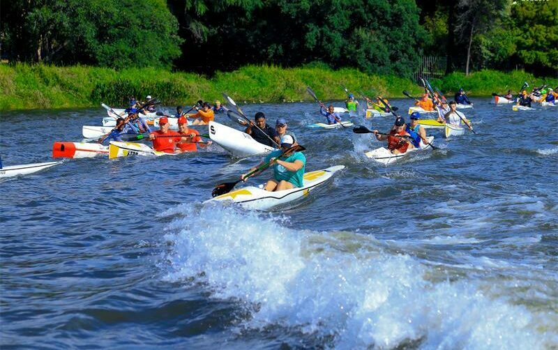 Paddlers take on the Emmarentia Dam.