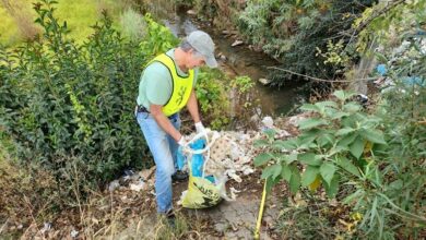 The Community Cleaners work together to bring the park back to its natural beauty.