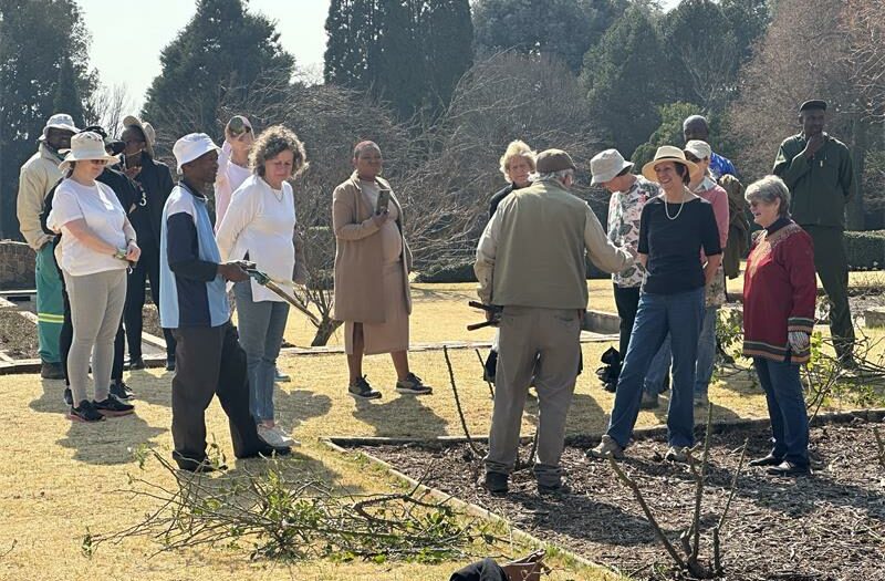 Volunteer pruners gather at rose terrace of the Johannesburg Botanical Gardens.