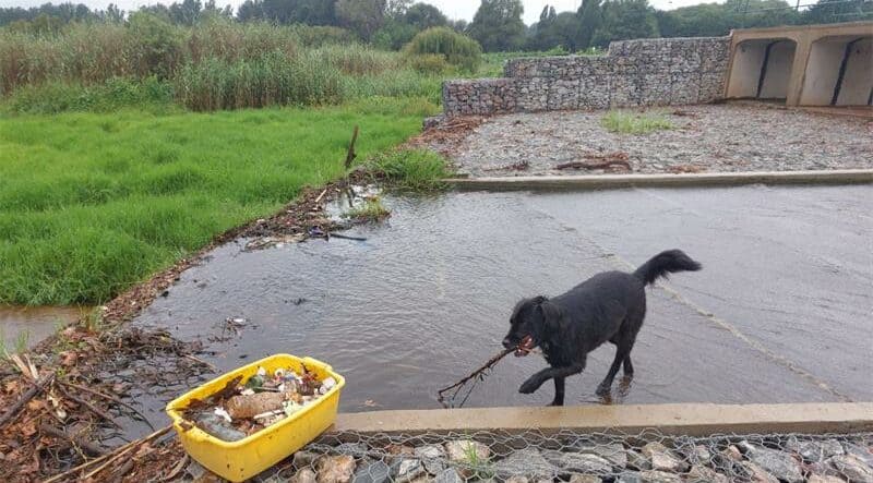 If you're looking for a pet friendly park to take your furry friend to over the weekend, look no further. We breakdown five of the best places to let your best friend run free.