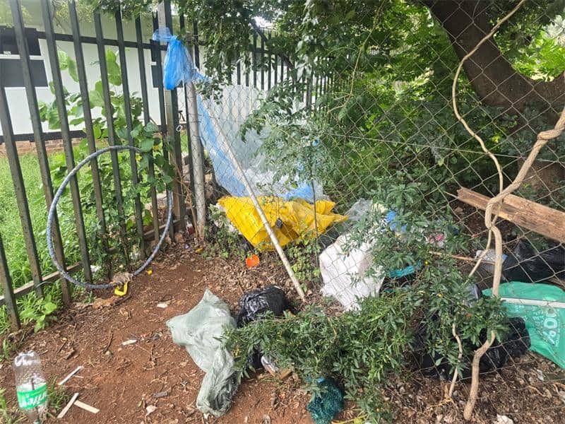 The community are stepping up to address the neglect of the Berario Scout Hall, now in a state of despair, with displaced individuals taking refuge and making it their home, questions still arise as to what will happen to the hall.