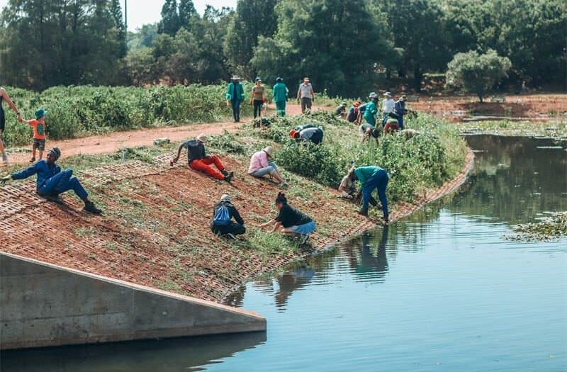 On February 8, 15, and 22 anyone that wants to make a difference in the Johannesburg Botanical Gardens is invited to lend a hand in the cleanup operation.