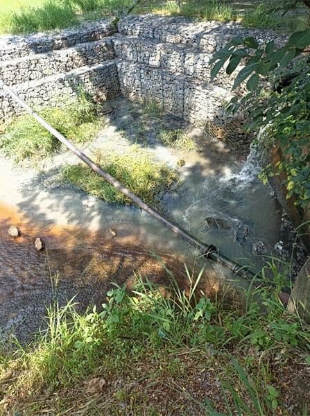 Westdene Spruit suffers as raw sewage flows into its waters from broken pipes, which flows through the Melville Koppies, affecting the ecosystem of Johannesburg's green spaces.