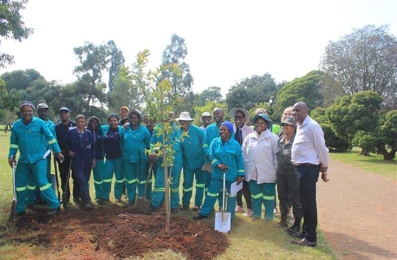 To observe Indigenous Tree Day, Johannesburg City Parks and Zoo planted 30 new indigenous trees at the Gardens.