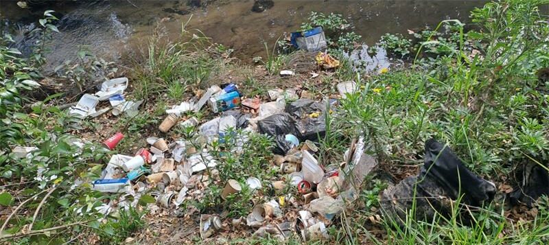 The Emmarentia Residents Association wants you to be part of the clean-up, which aims to uplift the community.