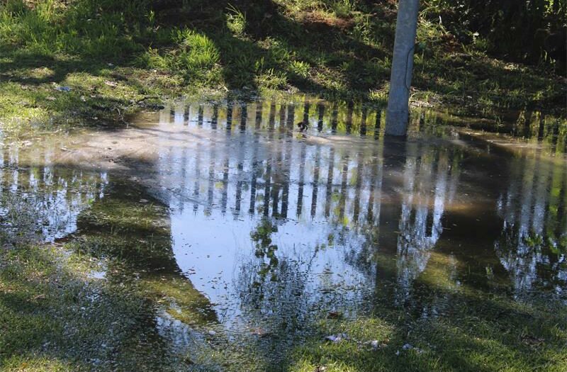 The sewage battle still flows on for the community of Newlands, as it may take longer for Johannesburg Water to put a stop to the issue at hand.