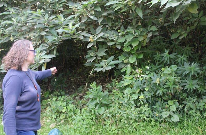 The residents of Greymont came together to discuss possible solutions to better protect their open spaces from crime.