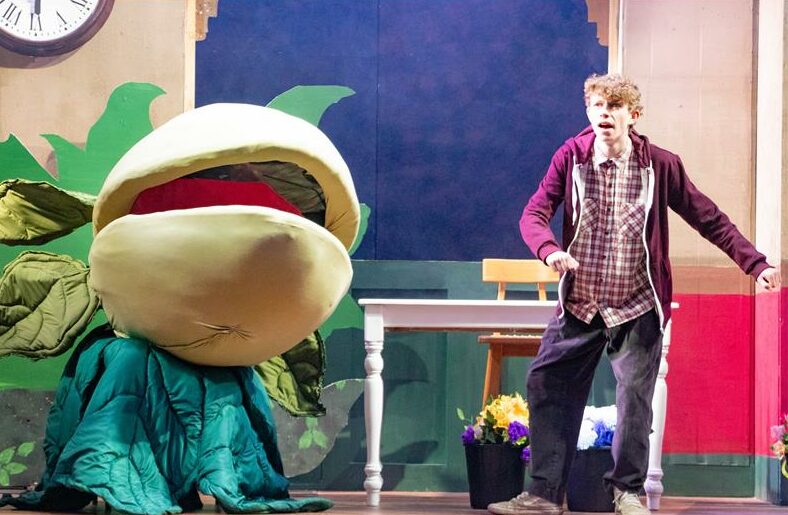 The latest production by Northcliff High School, Little Shop of Horrors, brought a mixture of dark humour and energy to the stage as they bought the beloved stage show to life.