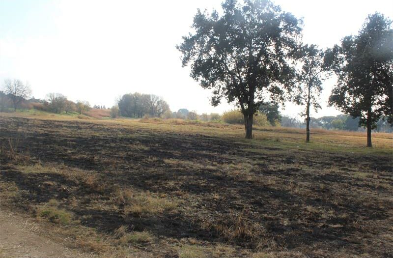 Pressure on city officials has been mounting due to the long and overdue maintenance of the Milner Avenue Park in Ward 88, with no official oversight over the land.