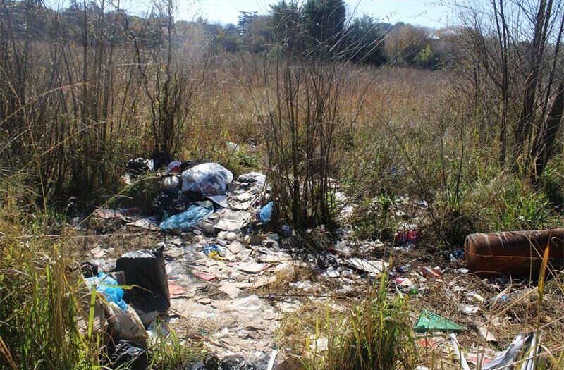 Maintenance for the public open space on the corner of Matabele Street and Milner Avenue is underway to remove vegetation to improve visibility and safety for the community.