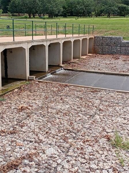 Johannesburg celebrates the completion of the Emmarentia Upper Dam rehabilitation project, improving flood protection and public access.