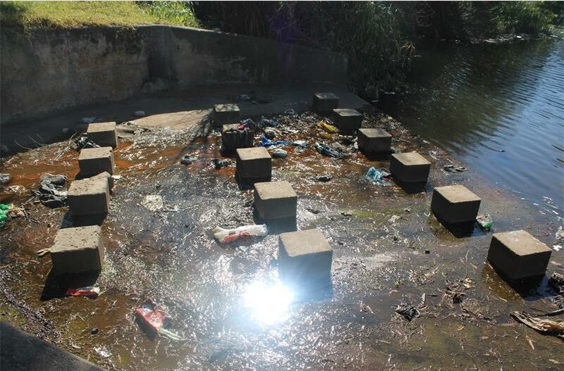 The Westdene Dam is facing a pollution crisis, prompting urgent calls for action from officials to restore its natural beauty.