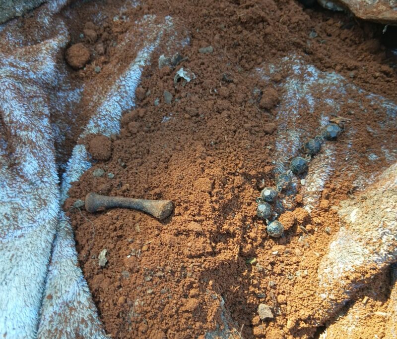 Two small bones and a white blanket discovered inside a grave at Westpark Cemetery.