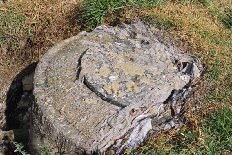 Ward 86 councillor Chantelle Fourie-Shawe raises the alarm as raw sewage spills from a burst manhole near Greymont Bridge, posing a serious health risk.