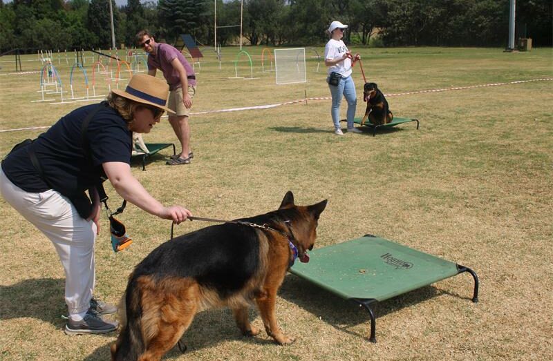 Marks Park All Breeds Dog Training Club trainer Mark Greyling explains two golden rules to transform your dog's behaviour.