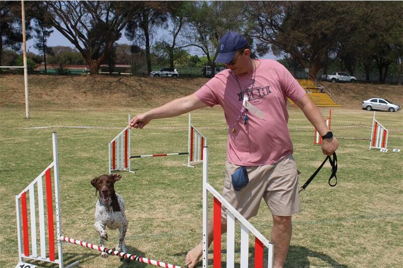 Wagging tails and happy owners marked Marks Park All Breeds Dog Training Club's first open day, complete with agility, obedience, and breed parades.