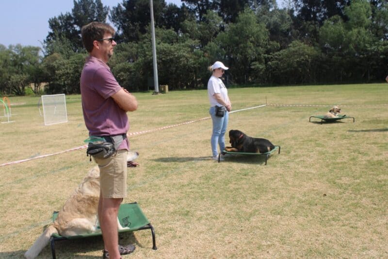 Trainer Mike Greyling says the open day was about fun, learning, and giving people a closer look at what dog training clubs do.